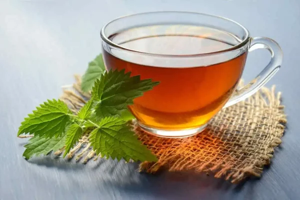 Benefits Of Green Tea