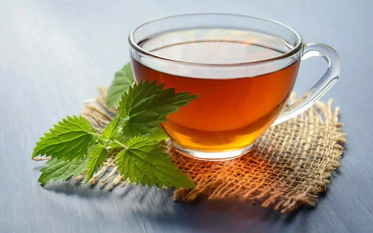 Benefits Of Green Tea
