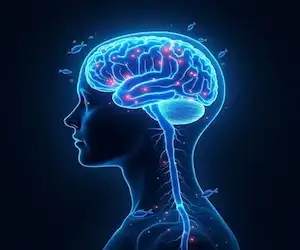 brain health supplement