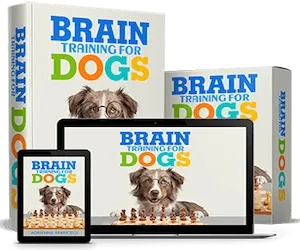 brain training for dogs