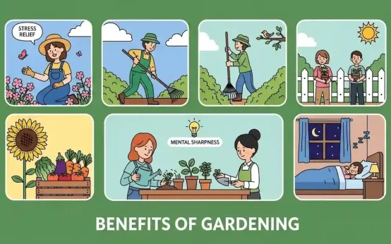 Mood-Boosting Benefits of Gardening as Exercise