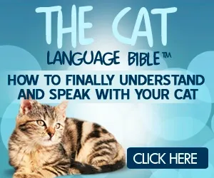 Cat Language Bible