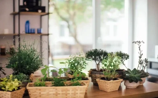 inside herb garden ideas