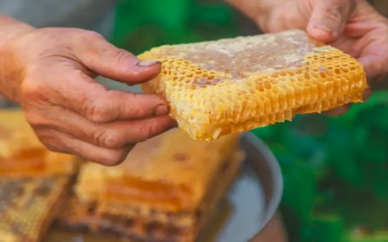 what is brood in beekeeping