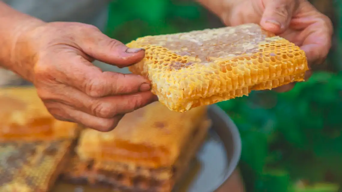 what is brood in beekeeping