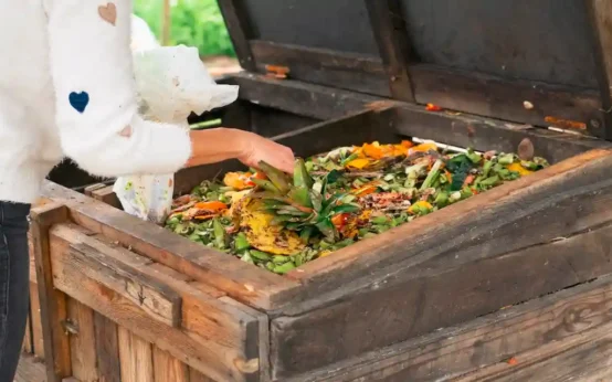 kitchen waste compost