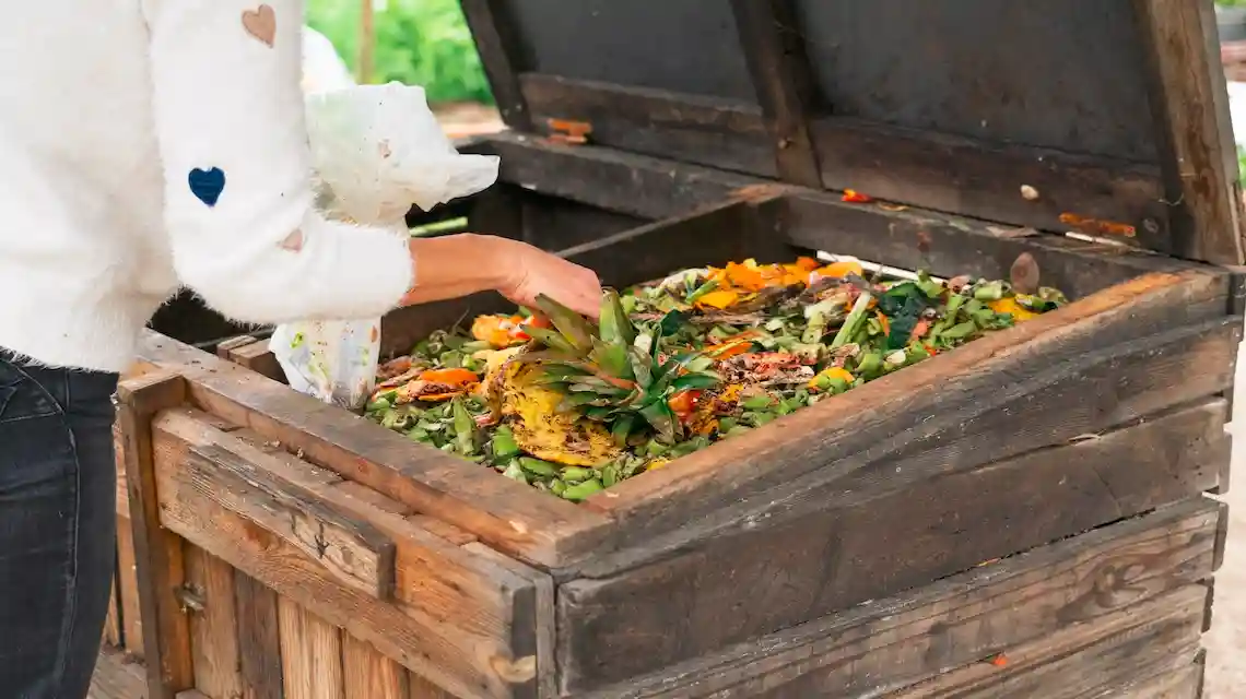 kitchen waste compost