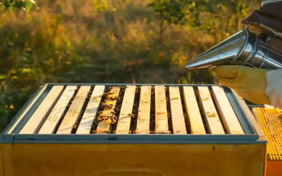 lighter footprint beekeeping equipment