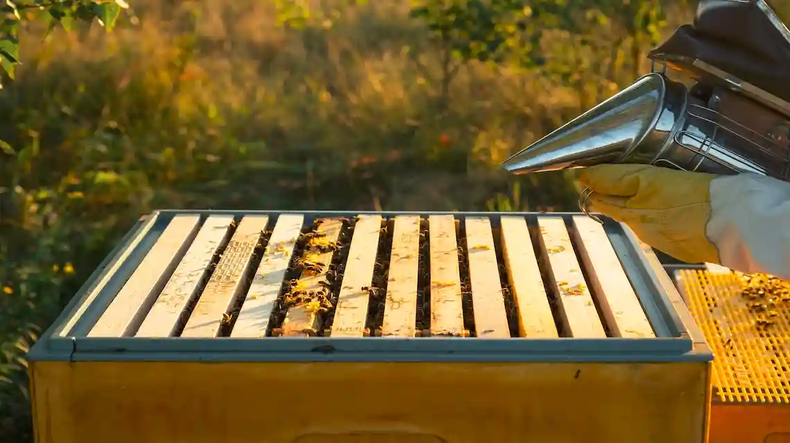 lighter footprint beekeeping equipment