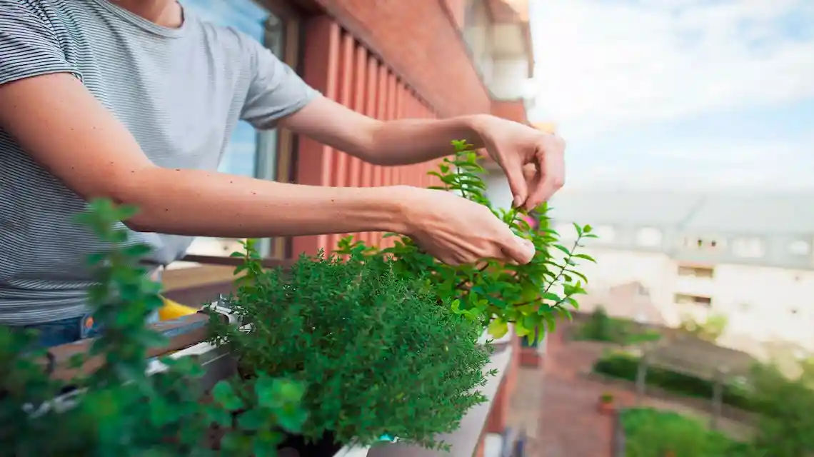 small balcony herb garden ideas